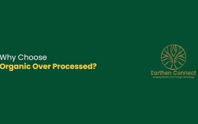 Why Choose Organic Over Processed?