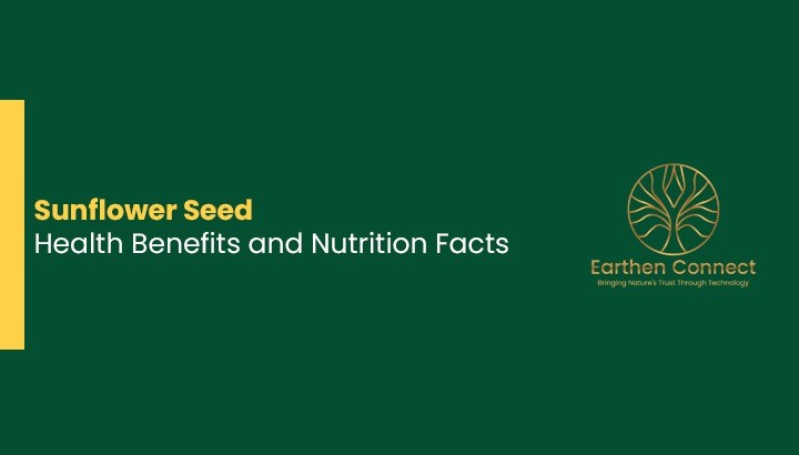 Sunflower Seed Health Benefits and Nutrition Facts