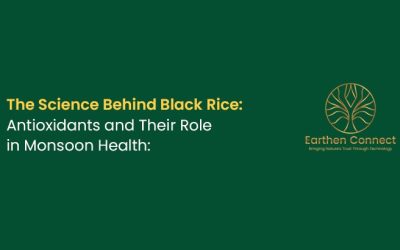 The Science Behind Black Rice: Antioxidants and Their Role in Monsoon Health