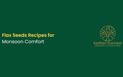 Flax Seeds Recipes for Monsoon Comfort