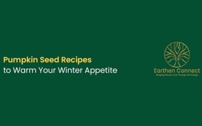 Pumpkin Seed Recipes to Warm Your Winter Appetite
