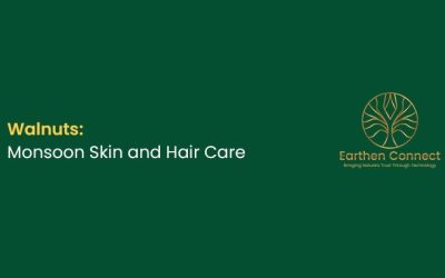 Walnuts: Monsoon Skin and Hair Care