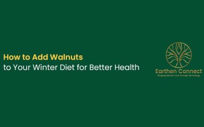 How to Add Walnuts to Your Winter Diet for Better Health