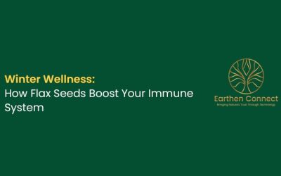 Winter Wellness: How Flax Seeds Boost Your Immune System