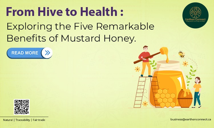 Mustard Honey-From Hive to Health: Exploring the Five Remarkable Benefits of Mustard Honey