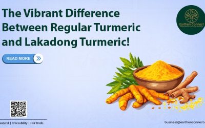 The vibrant difference between regular turmeric and Lakadong turmeric!