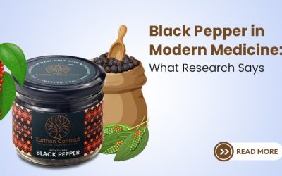 Black Pepper in Modern Medicine: What Research Says?