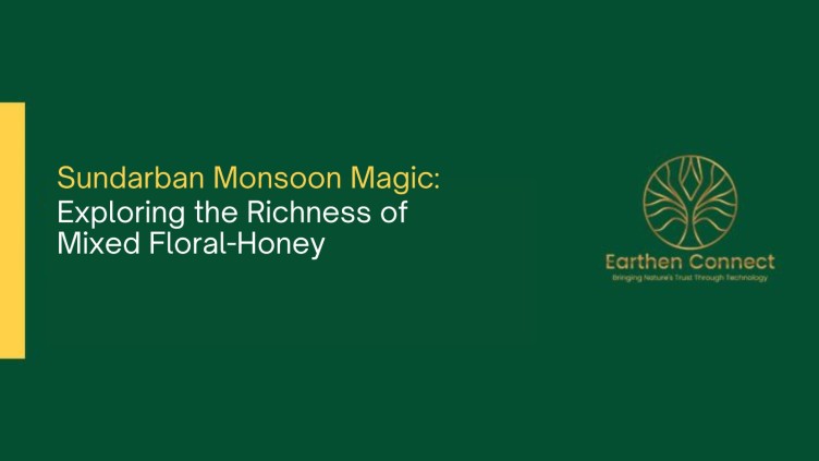 Sundarban Monsoon Magic: Exploring the Richness of Mixed Floral-Honey