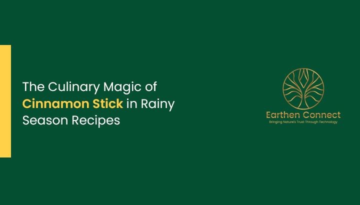 The Culinary Magic of Cinnamon Stick in Rainy Season Recipes