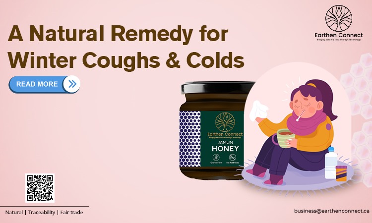 Can Jamun Honey Help Support Winter Cough and Cold Relief?