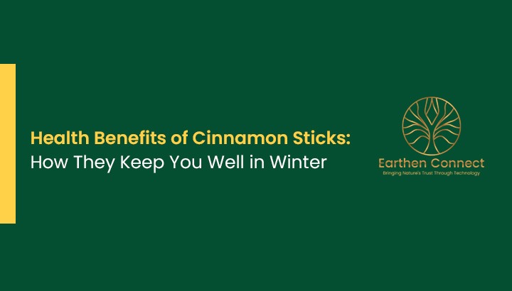 Health Benefits of Cinnamon Sticks: How they keep you well in winter