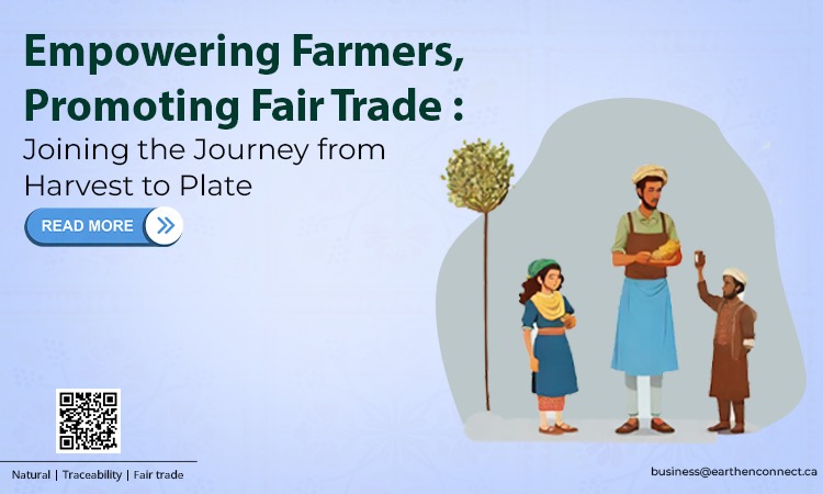 Empowering Farmers, Promoting Fair Trade: Joining the Journey from Harvest to Plate
