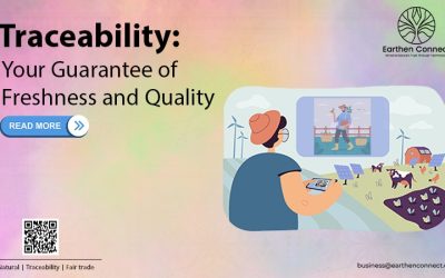 Traceability: Your Guarantee of Freshness and Quality