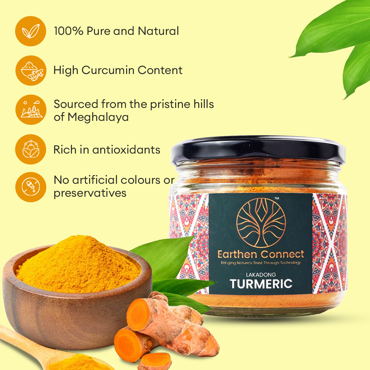 Buy Lakadong Turmeric Online