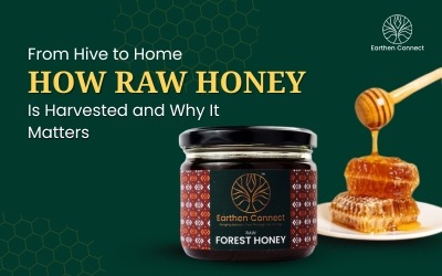 From Hive to Home How Raw Honey Is Harvested and Why It Matters