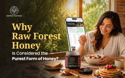 Why Raw Forest Honey Is Considered the Purest Form of Honey?