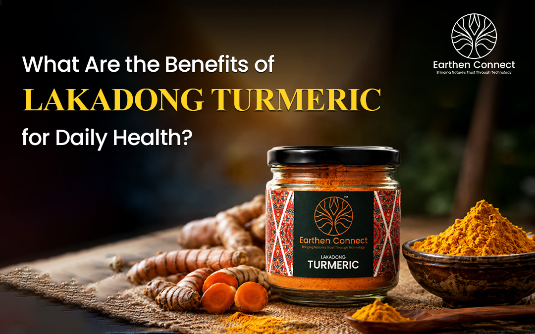 What Are the Benefits of Lakadong Turmeric for Daily Health?