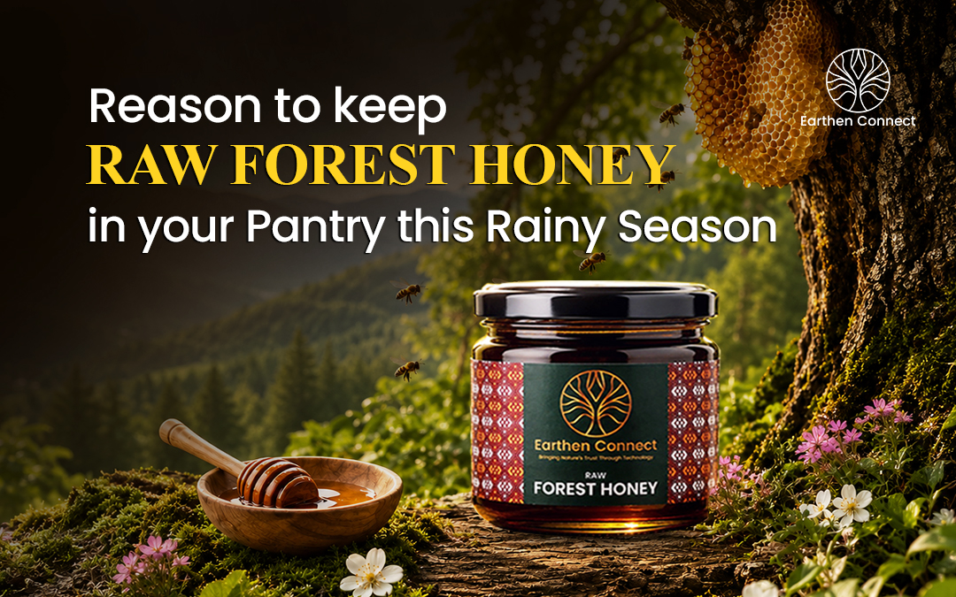 Reasons to Keep Raw Forest Honey in Your Pantry This Rainy Season