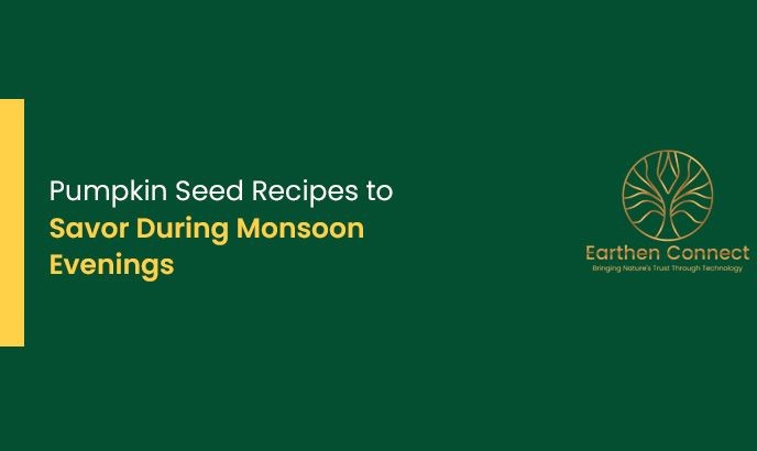 Pumpkin Seed Recipes to Savor during Monsoon Evenings