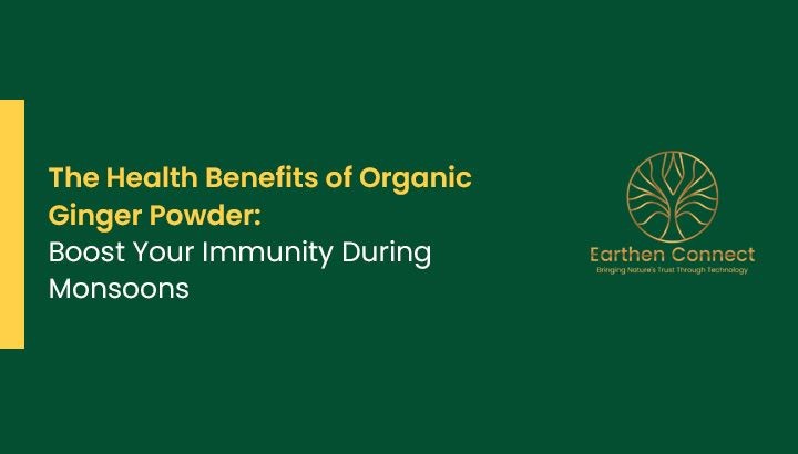 The Health Benefits of Organic Ginger Powder: Boost Your Immunity during Monsoons