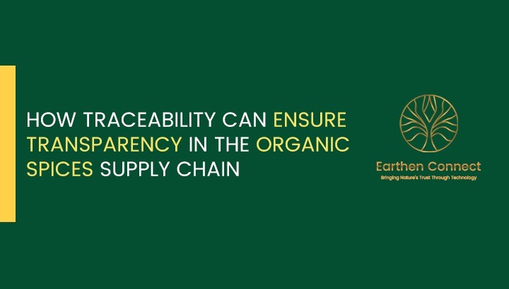 The Power of Traceability in the Organic Spice Industry