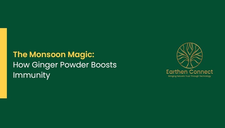 The Monsoon Magic: How Ginger Powder Boosts Immunity