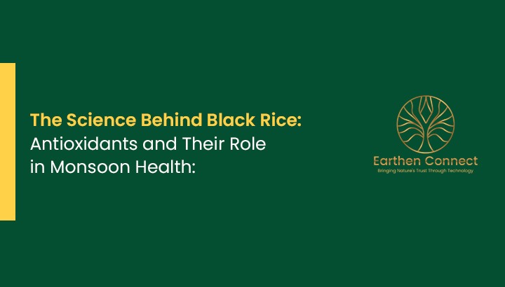 The Science Behind Black Rice: Antioxidants and Their Role in Monsoon Health