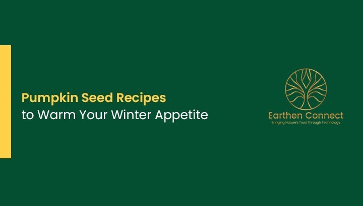 Pumpkin Seed Recipes to Warm Your Winter Appetite