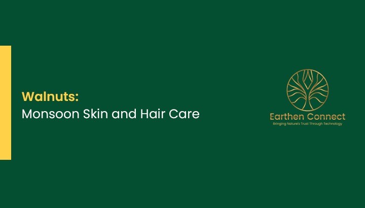 Walnuts: Monsoon Skin and Hair Care