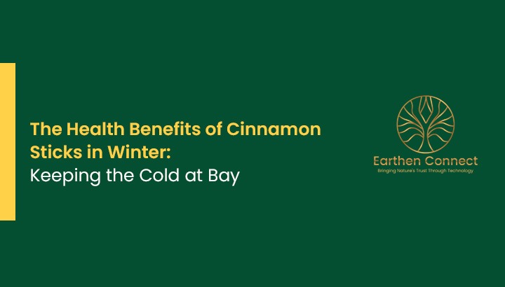 The Health Benefits of Cinnamon Sticks in Winter: Keeping the Cold at Bay