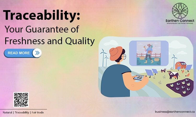Traceability: Your Guarantee of Freshness and Quality