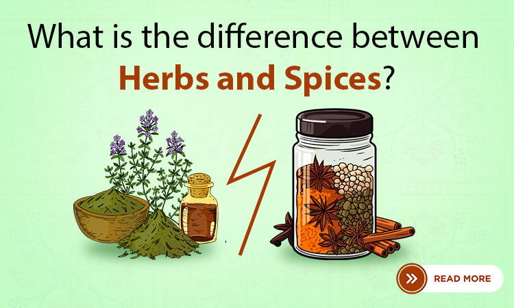 What is the difference between herbs and spices?