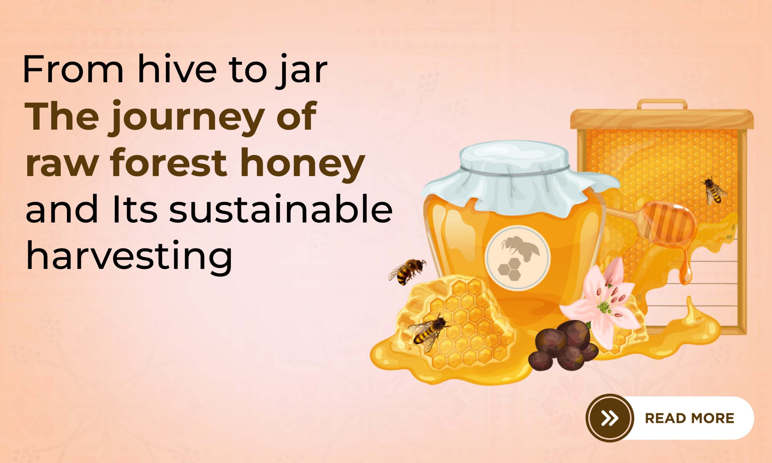 From Hive to Jar: The Journey of Raw Forest Honey and Its Sustainable Harvesting