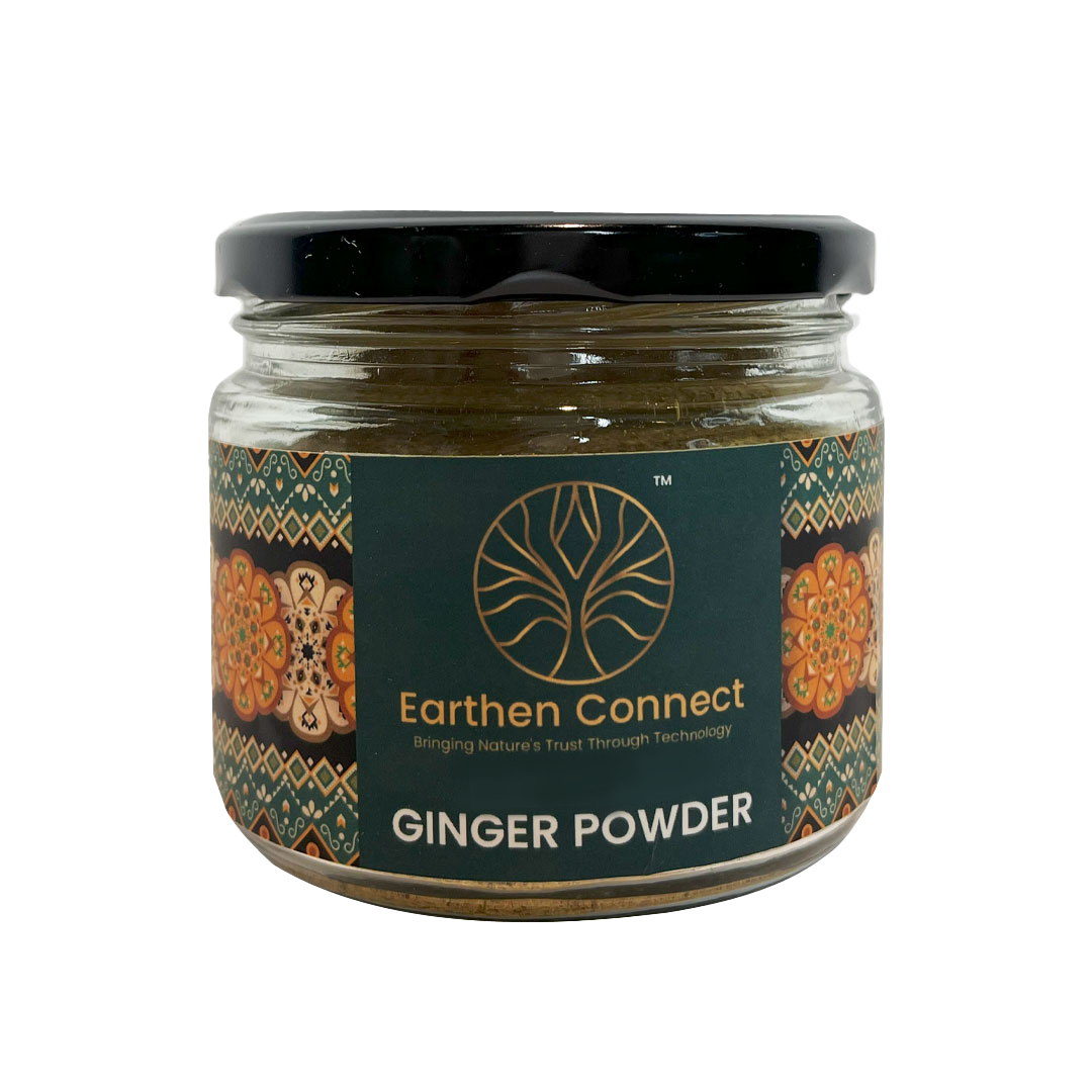 Buy Dry Ginger Powder Earthen Connect