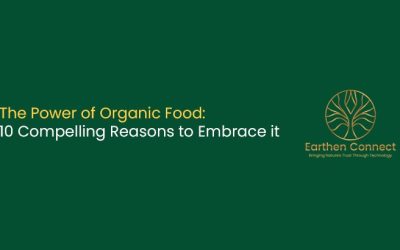 10 Compelling Reasons to Embrace Organic Food