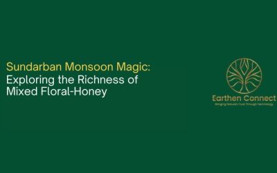 Sundarban Monsoon Magic: Exploring the Richness of Mixed Floral-Honey