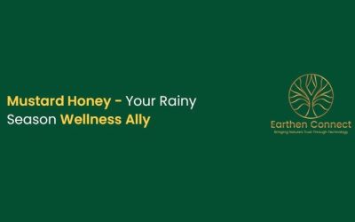 Mustard Honey – Your Rainy Season Wellness Ally