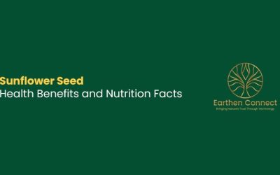 Sunflower Seed Health Benefits and Nutrition Facts