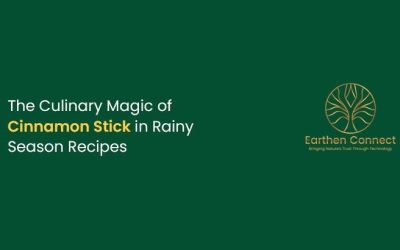 The Culinary Magic of Cinnamon Stick in Rainy Season Recipes