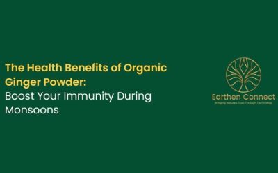 The Health Benefits of Organic Ginger Powder: Boost Your Immunity during Monsoons