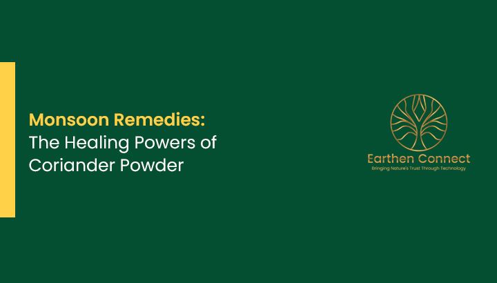 Monsoon Remedies: The Healing Powers of Coriander Powder