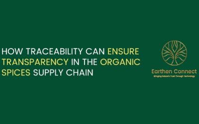 The Power of Traceability in the Organic Spice Industry
