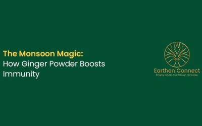The Monsoon Magic: How Ginger Powder Boosts Immunity