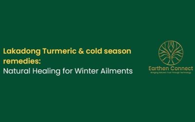 Lakadong Turmeric & Cold Season Remedies: Natural Healing for Winter Ailments
