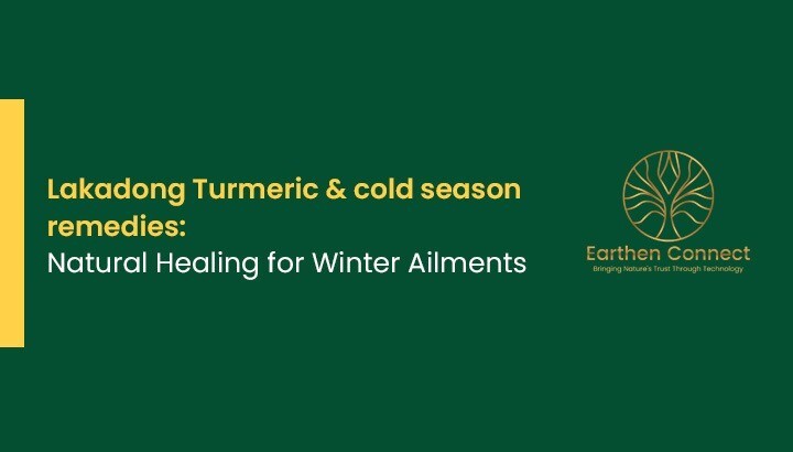 Lakadong Turmeric & Cold Season Remedies: Natural Healing for Winter Ailments