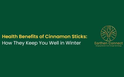 Health Benefits of Cinnamon Sticks: How they keep you well in winter