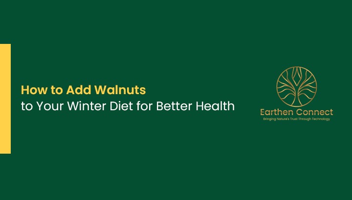 How to Add Walnuts to Your Winter Diet for Better Health