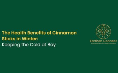 The Health Benefits of Cinnamon Sticks in Winter: Keeping the Cold at Bay