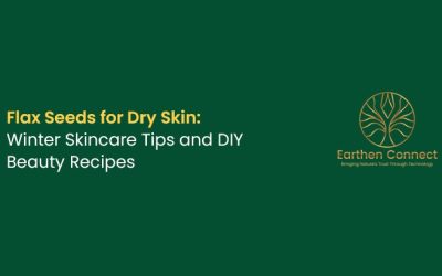 Flax Seeds for Dry Skin: Winter Skincare Tips and DIY Beauty Recipes