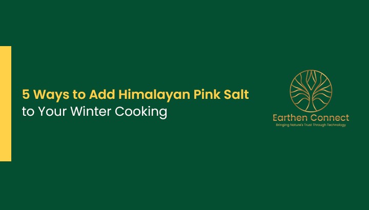 5 Ways to Add Himalayan Pink Salt to Your Winter Cooking